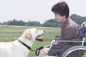 五反田で評判の歯医者！家族全員が通いやすいクリニックの選び方とおすすめ治療法