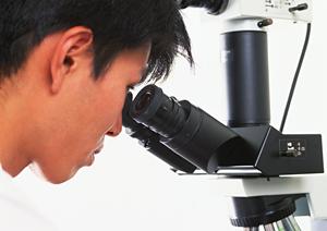 歯の健康のために予防歯科に力を入れる