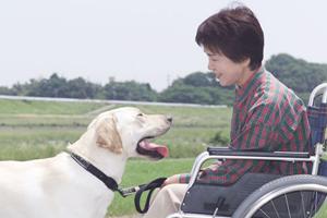 大宮の整形外科を徹底比較！信頼と実績のクリニック2026年最新版