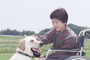 旗の台で信頼できる歯医者を見つける！家族みんなが安心して通える歯科クリニックの選び方